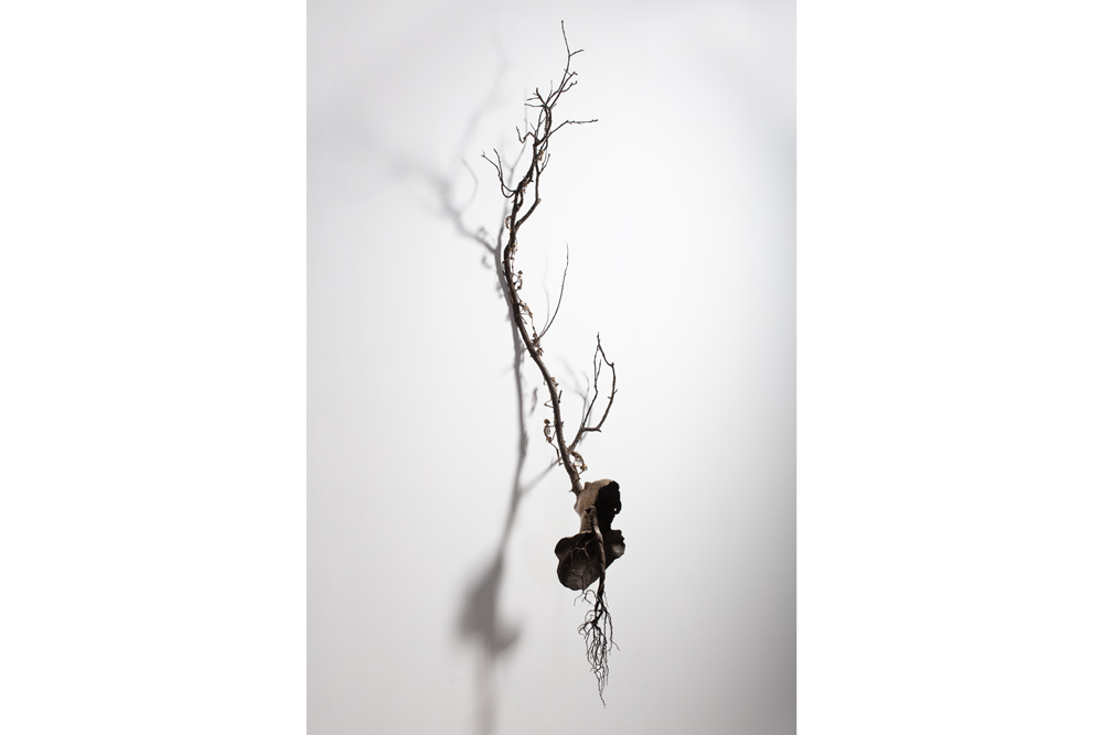 barcelona Gallery Weekend